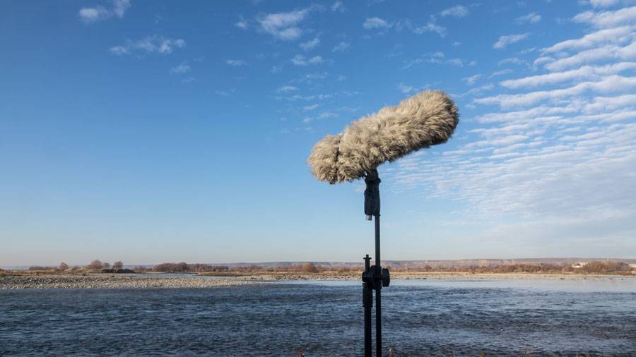 The Science of Microphone Windscreens Student Filmmakers Magazine