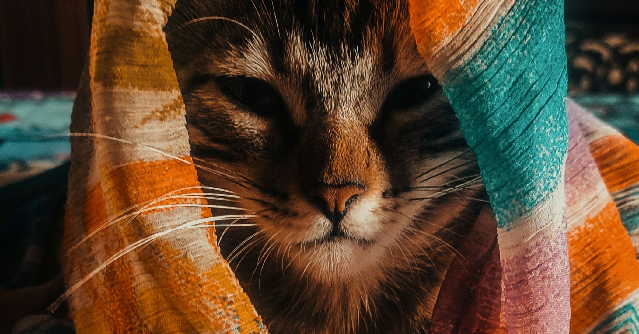 The Passion to Keep Pushing Forward: Awakening Your Filmmaking Project from Sleep Mode